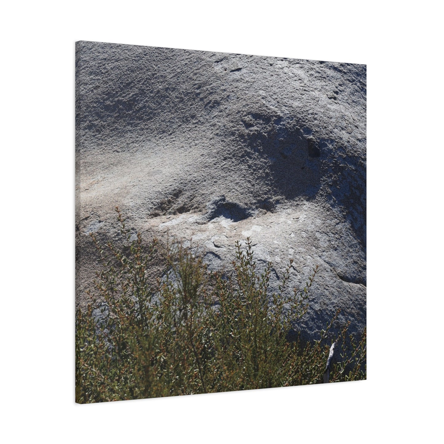 Stone Face in Nature - Unique Frameless Canvas Wall Art