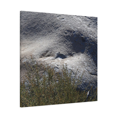 Stone Face in Nature - Unique Frameless Canvas Wall Art