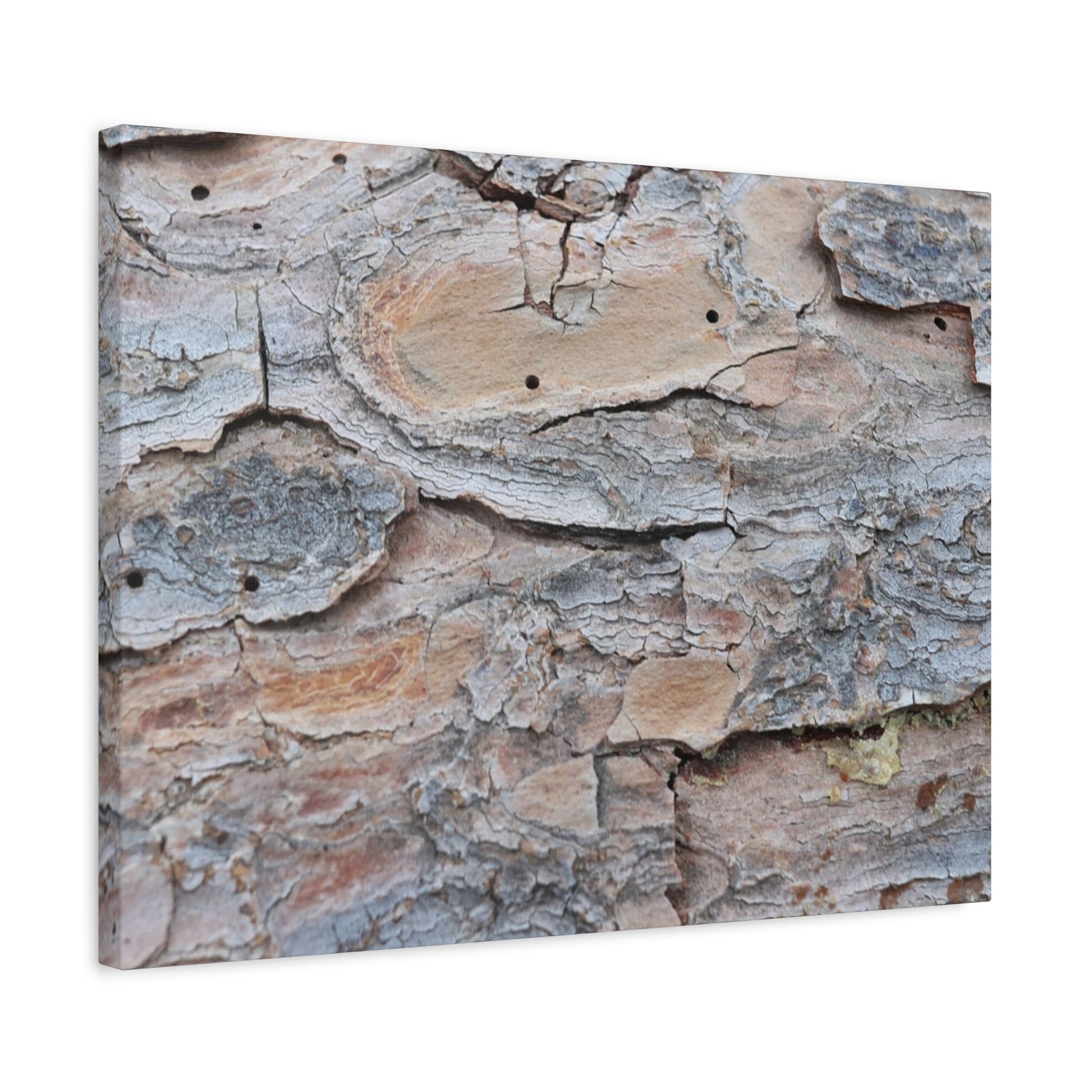 Textural Geology - Unique Frameless Canvas Wall Art - Art By Earth