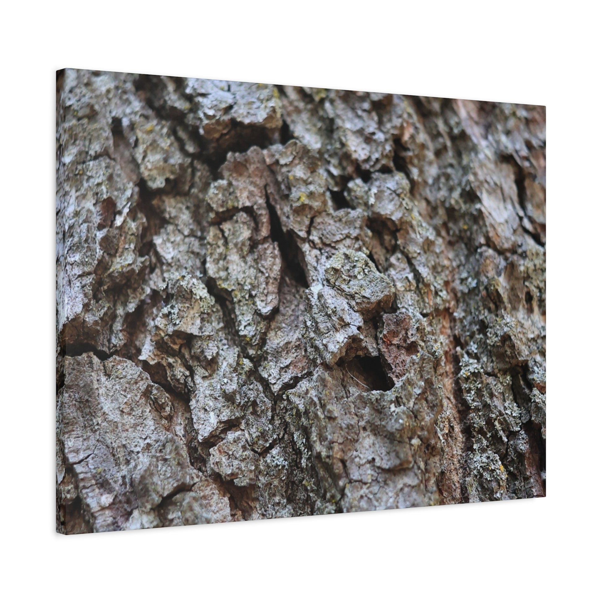 Cracked Echoes - Unique Frameless Canvas Wall Art - Art By Earth