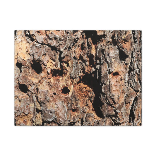 Tree Bark Mosaic - Unique Frameless Canvas Wall Art - Art By Earth
