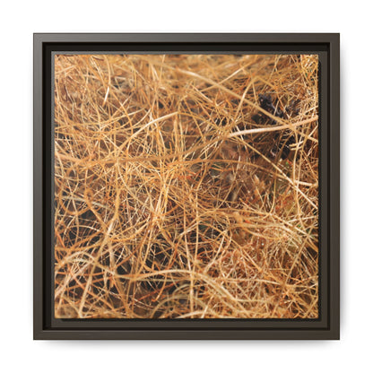 Dried Grass - Unique Stretched Canvas Wall Art - Art By Earth