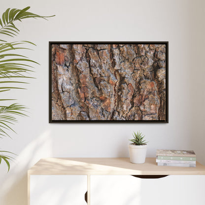 Tree's Timeworn Tale - Unique Stretched Canvas Wall Art - Art By Earth