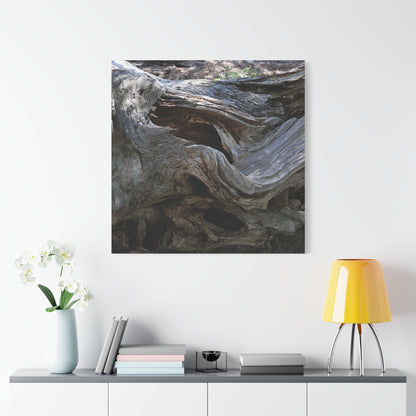 Twisted Fate - Unique Frameless Canvas Wall Art - Art By Earth
