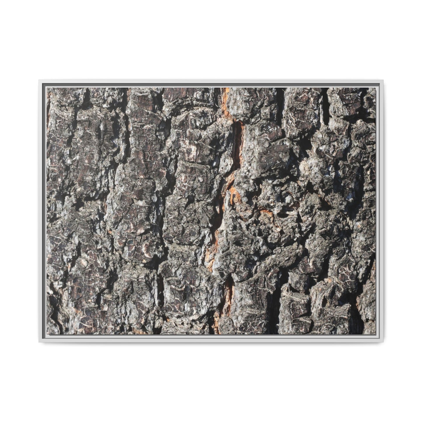 Aged Beauty - Unique Stretched Canvas Wall Art - Art By Earth