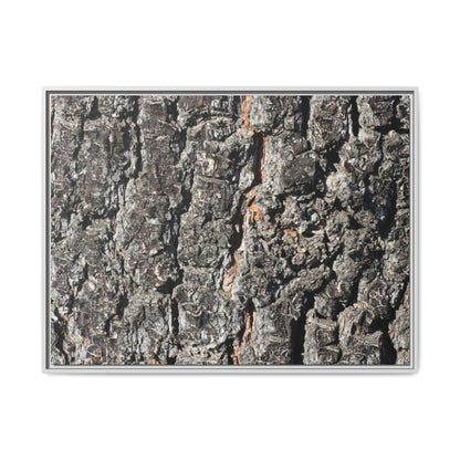 Aged Beauty - Unique Stretched Canvas Wall Art - Art By Earth