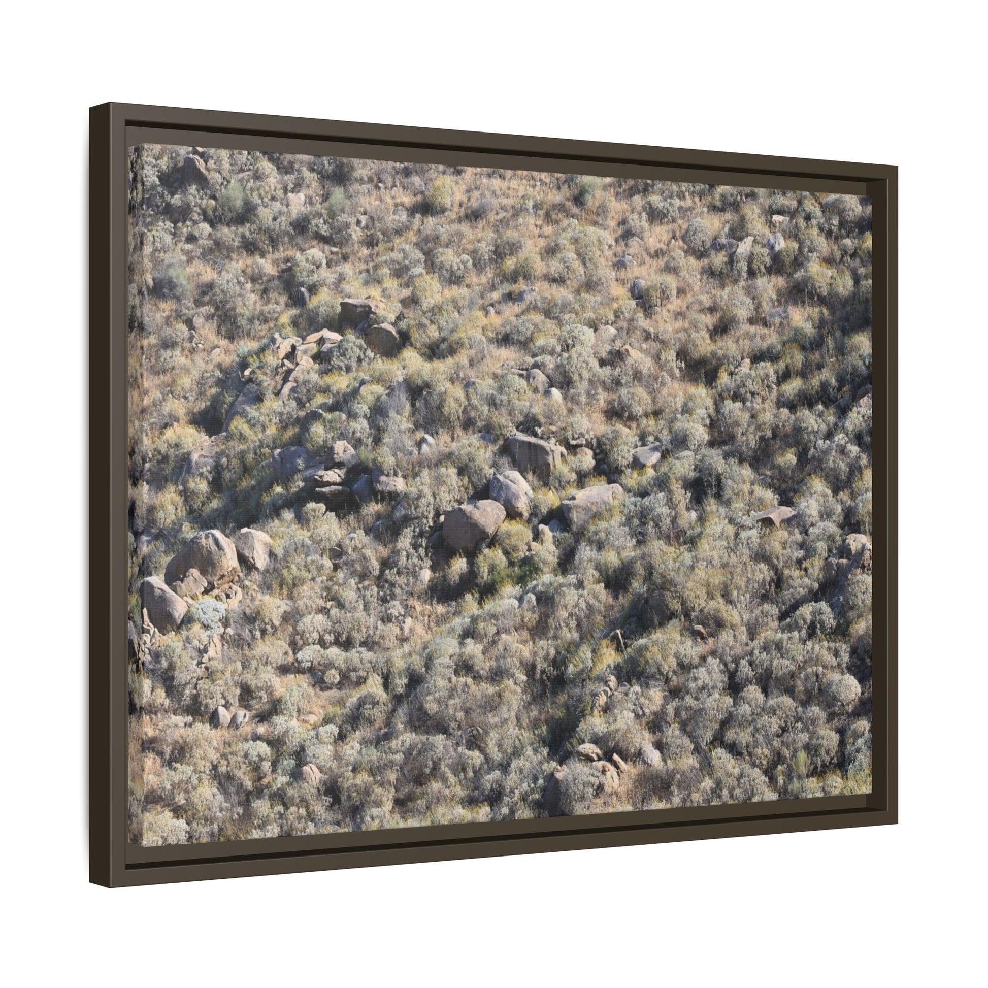 Arid Terrain Study - Unique Stretched Canvas Wall Art - Art By Earth