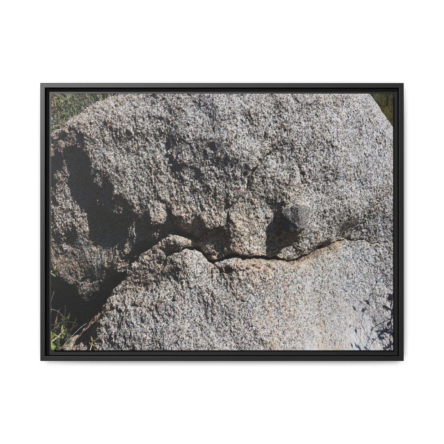 Stone Skull in Desert - Unique Stretched Canvas Wall Art