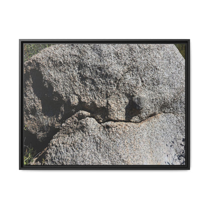 Stone Skull in Desert - Unique Stretched Canvas Wall Art