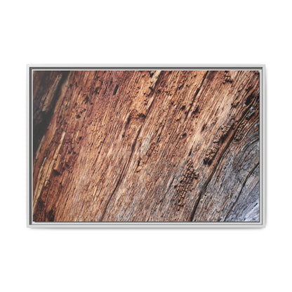 Time's Mark - Unique Stretched Canvas Wall Art - Art By Earth