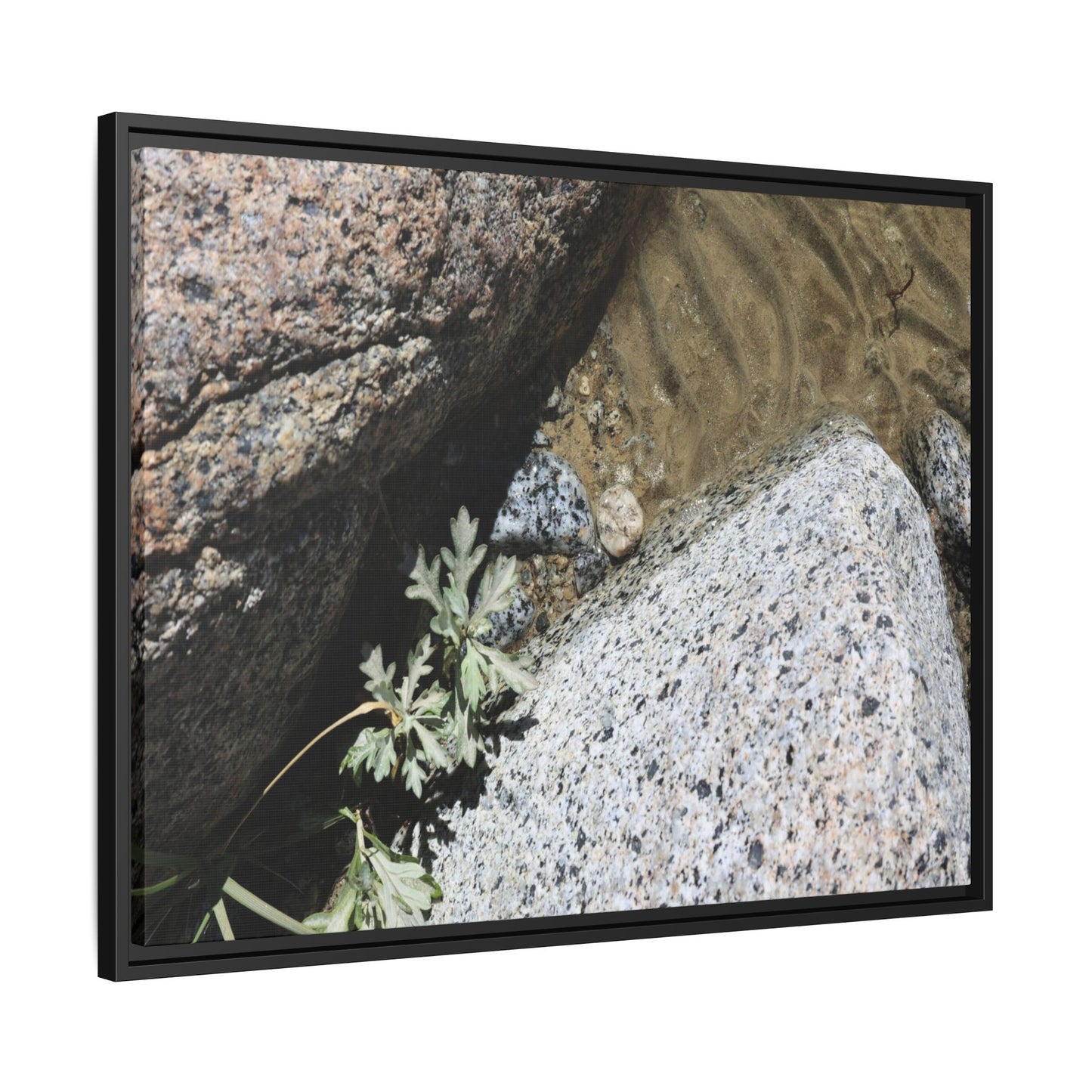 Resilience in Stone - Unique Stretched Canvas Wall Art - Art By Earth