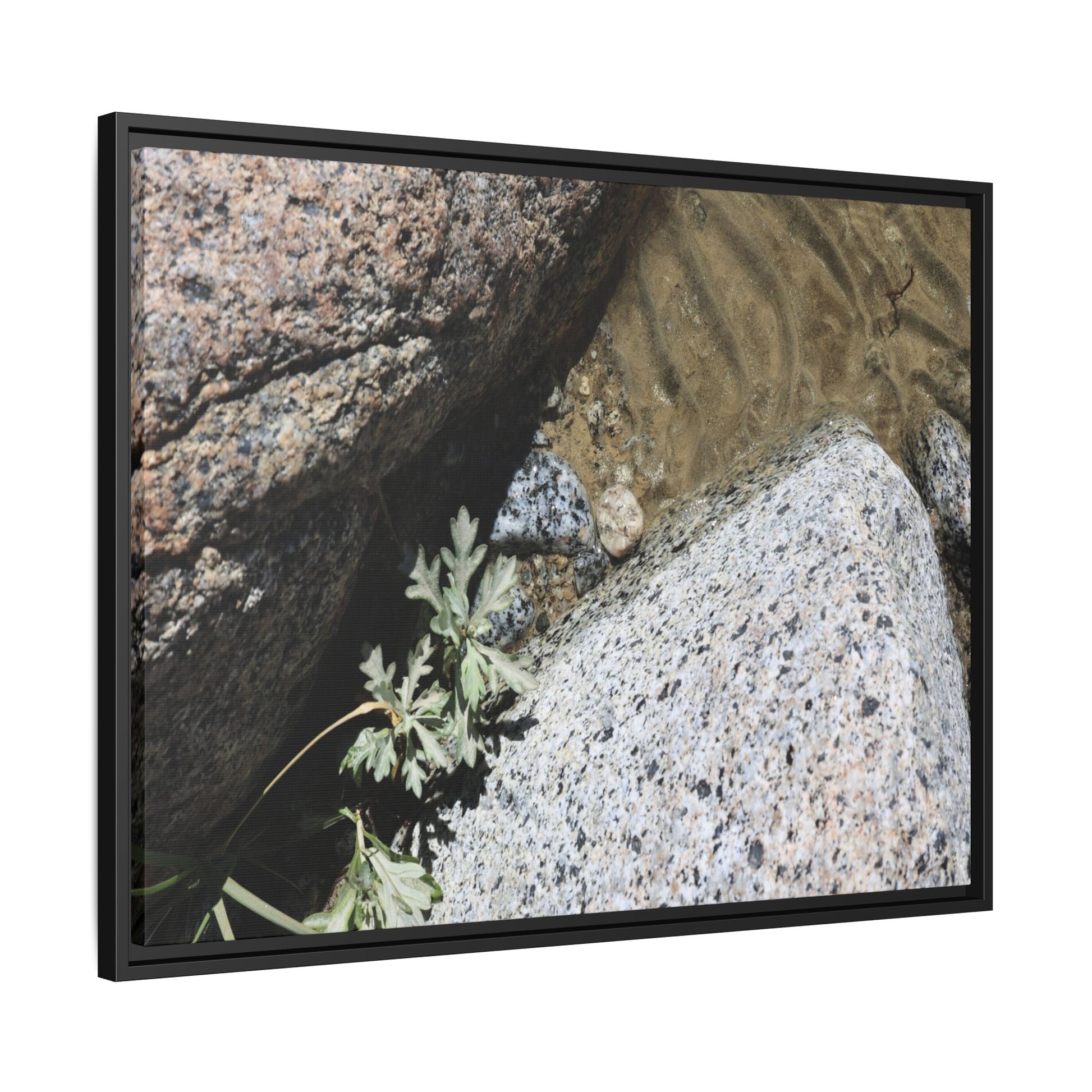 Resilience in Stone - Unique Stretched Canvas Wall Art - Art By Earth