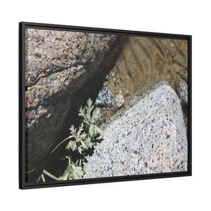 Resilience in Stone - Unique Stretched Canvas Wall Art - Art By Earth