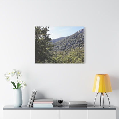 Mountain Vista Through Forest - Unique Frameless Canvas Wall Art