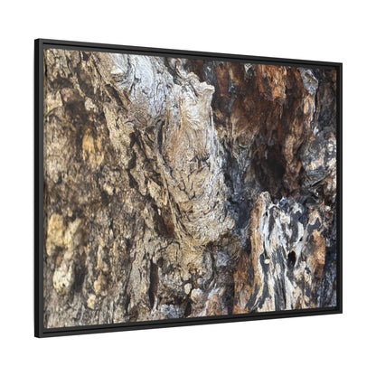 Ancient Tree Texture - Unique Stretched Canvas Wall Art - Art By Earth