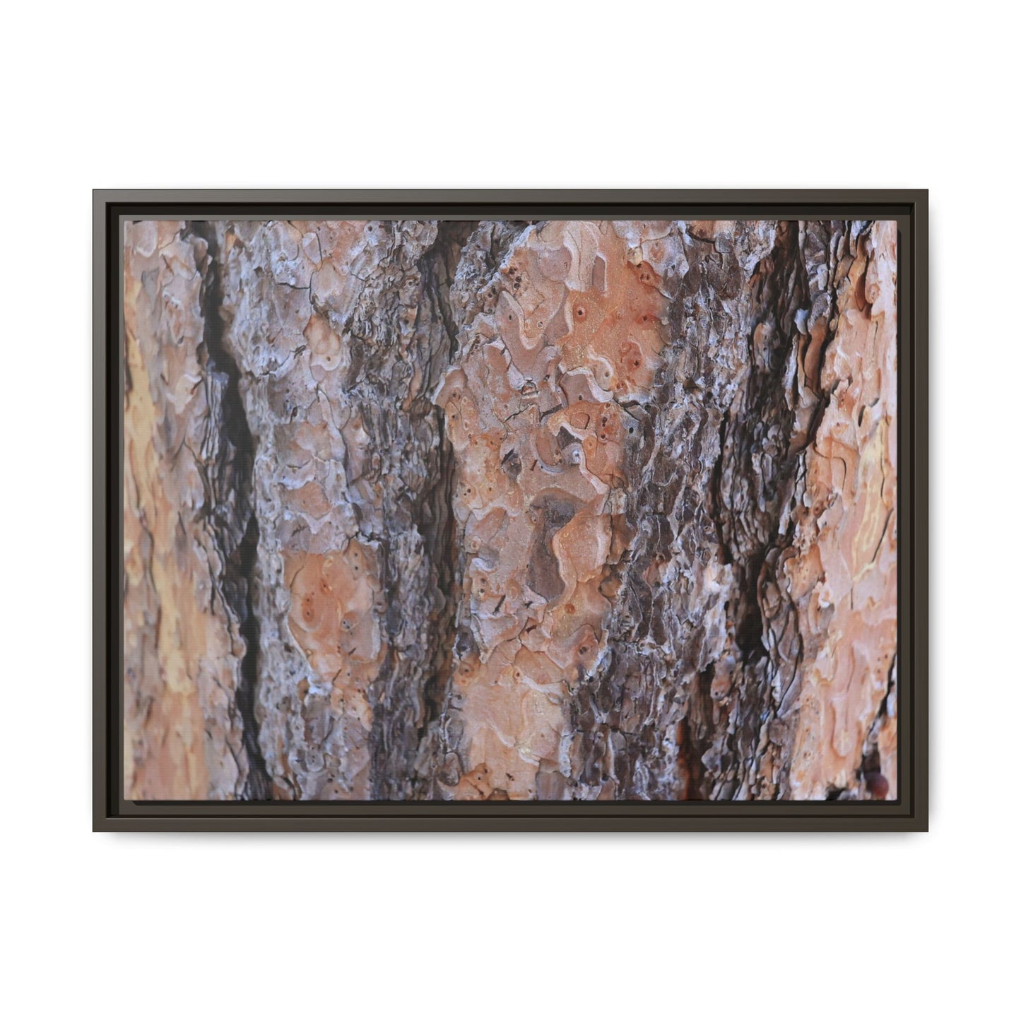 Earthy Embrace - Unique Stretched Canvas Wall Art - Art By Earth