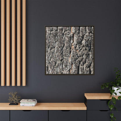 Aged Beauty - Unique Stretched Canvas Wall Art - Art By Earth