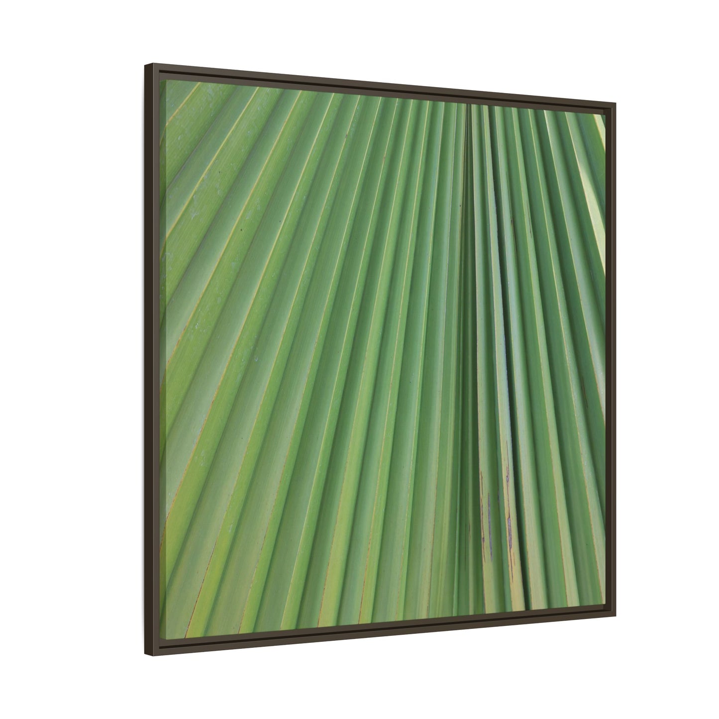 Emerald Rays - Unique Stretched Canvas Wall Art - Art By Earth