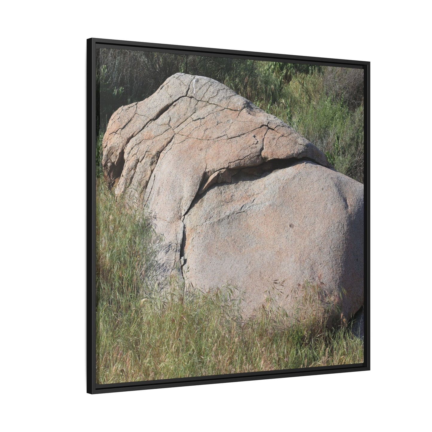 Stone Head Emerging from Earth - Unique Stretched Canvas Wall Art - Art By Earth