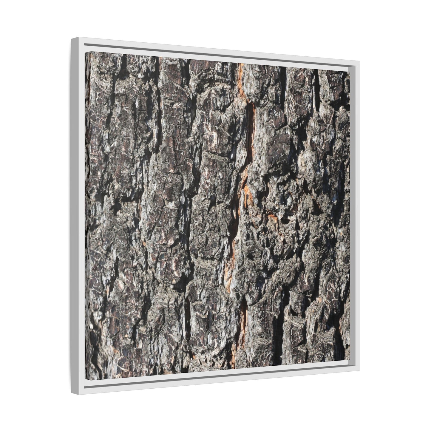 Aged Beauty - Unique Stretched Canvas Wall Art - Art By Earth