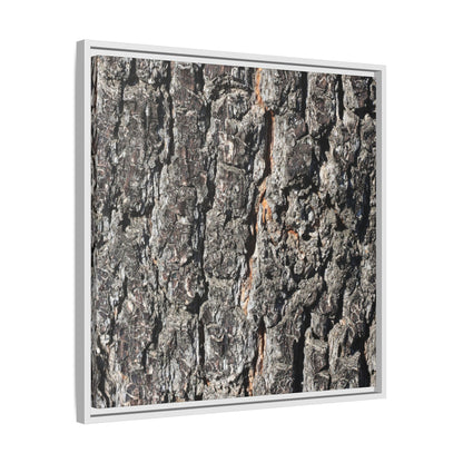 Aged Beauty - Unique Stretched Canvas Wall Art - Art By Earth