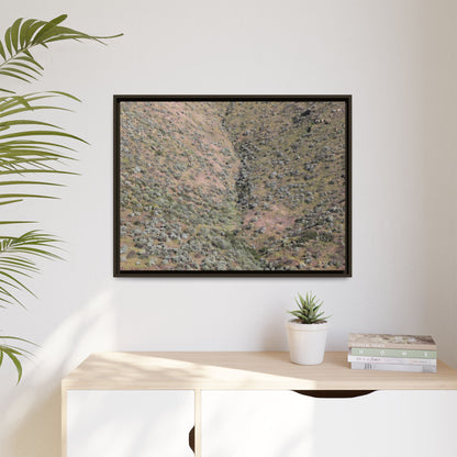 Mountain Slope with Desert Vegetation - Unique Stretched Canvas Wall Art - Art By Earth