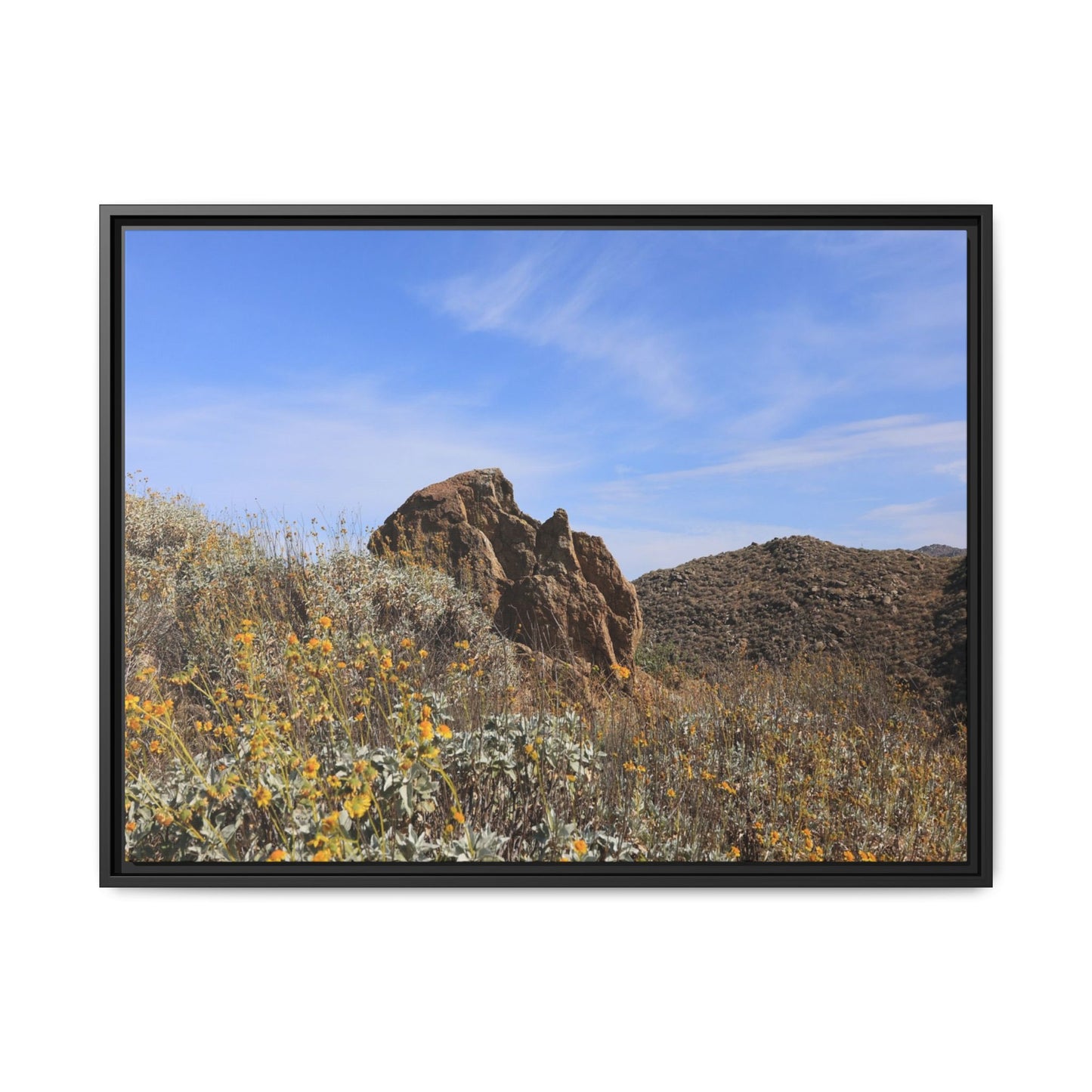 Golden Flowers in Arid Landscape - Unique Stretched Canvas Wall Art - Art By Earth