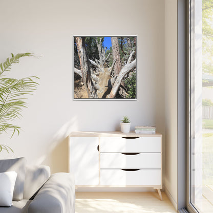 Forest Sentinels - Unique Stretched Canvas Wall Art