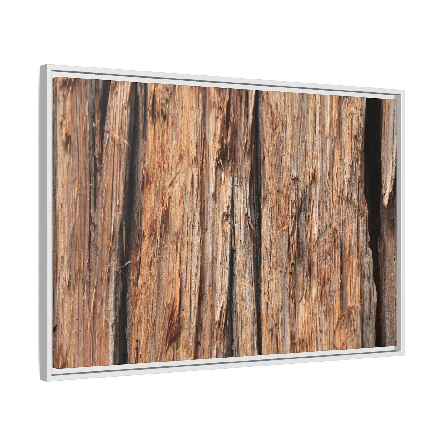 Timber Echoes - Unique Stretched Canvas Wall Art - Art By Earth
