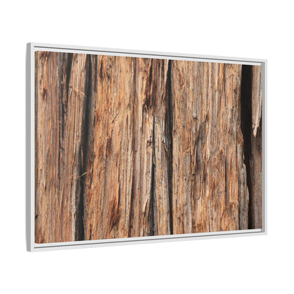 Timber Echoes - Unique Stretched Canvas Wall Art - Art By Earth