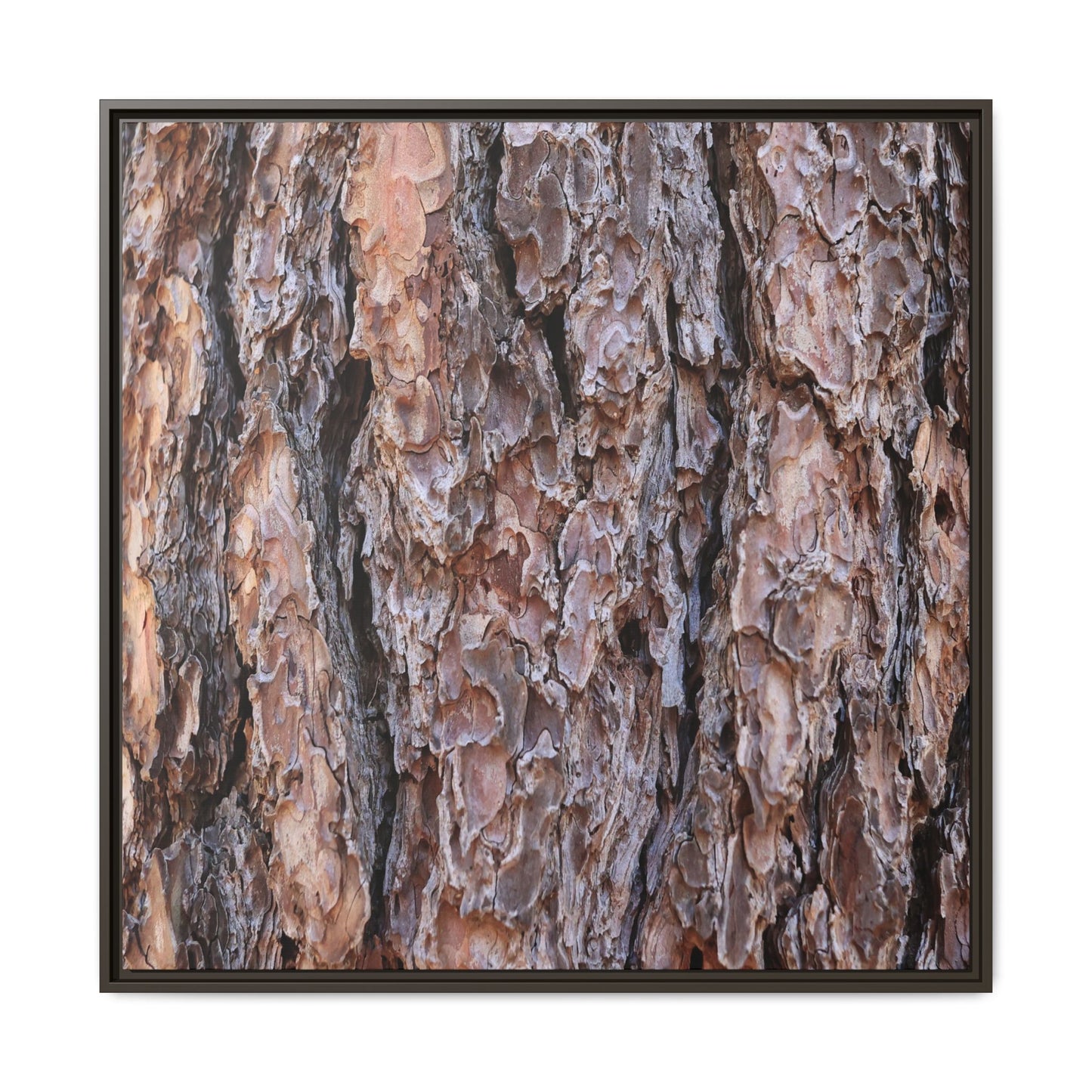 Layered Textures - Unique Stretched Canvas Wall Art - Art By Earth