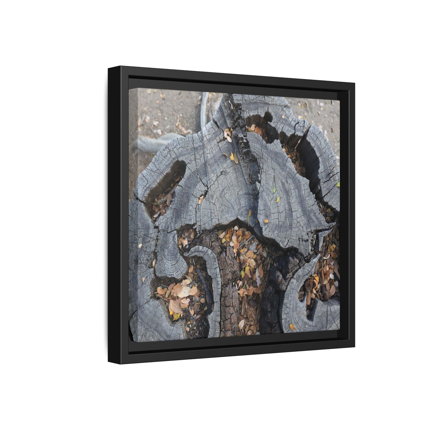 Time's Fractal Memory - Unique Stretched Canvas Wall Art - Art By Earth