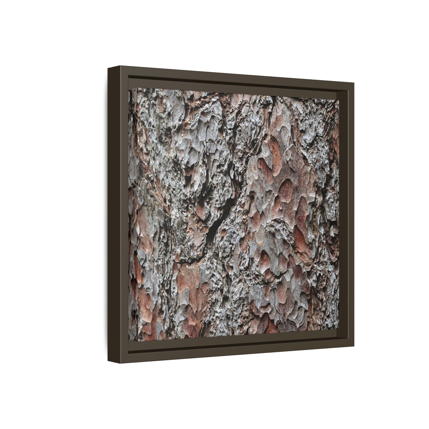 Bark Texture Symphony - Unique Stretched Canvas Wall Art - Art By Earth