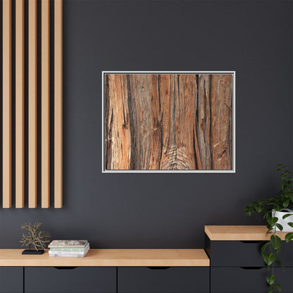 Echoes of Timber - Unique Stretched Canvas Wall Art - Art By Earth