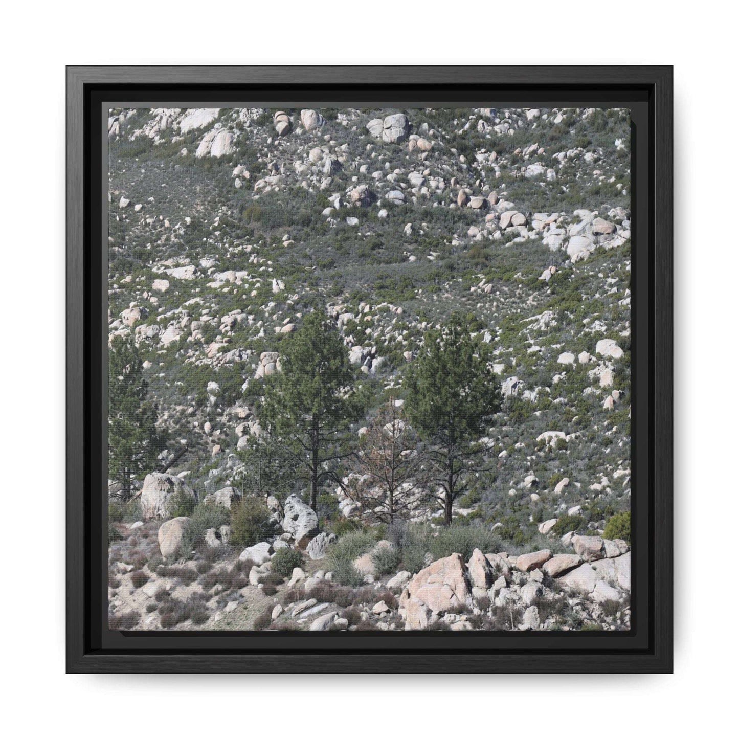 Rocky Hillside with Pine Trees - Unique Stretched Canvas Wall Art - Art By Earth