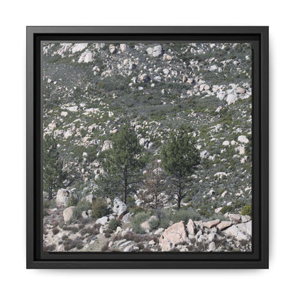 Rocky Hillside with Pine Trees - Unique Stretched Canvas Wall Art - Art By Earth