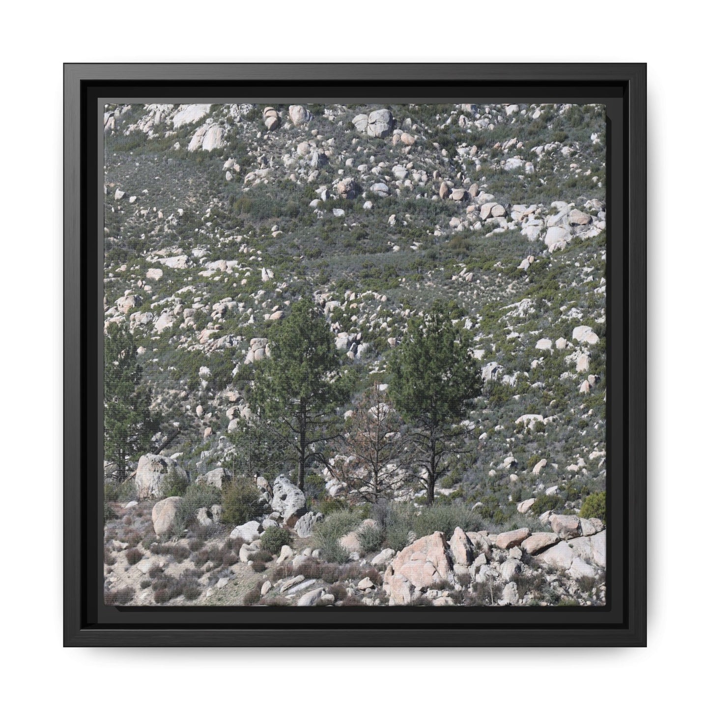 Rocky Hillside with Pine Trees - Unique Stretched Canvas Wall Art - Art By Earth