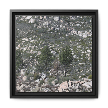Rocky Hillside with Pine Trees - Unique Stretched Canvas Wall Art - Art By Earth