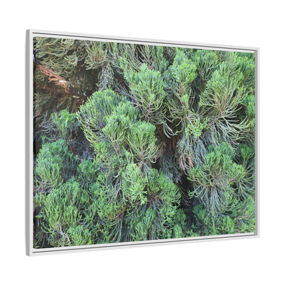 Verdant Whispers - Unique Stretched Canvas Wall Art - Art By Earth