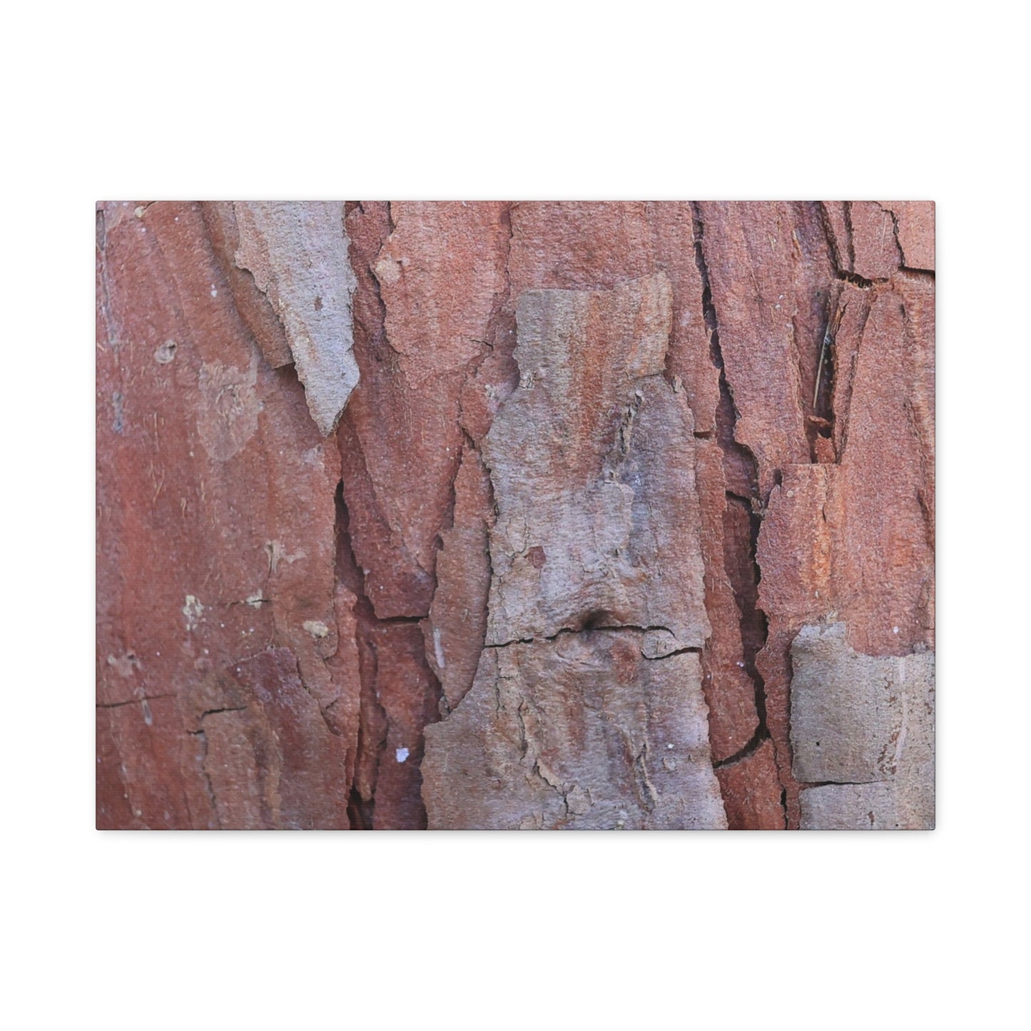 Fractal Rust - Unique Frameless Canvas Wall Art - Art By Earth