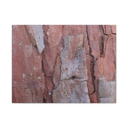 Fractal Rust - Unique Frameless Canvas Wall Art - Art By Earth