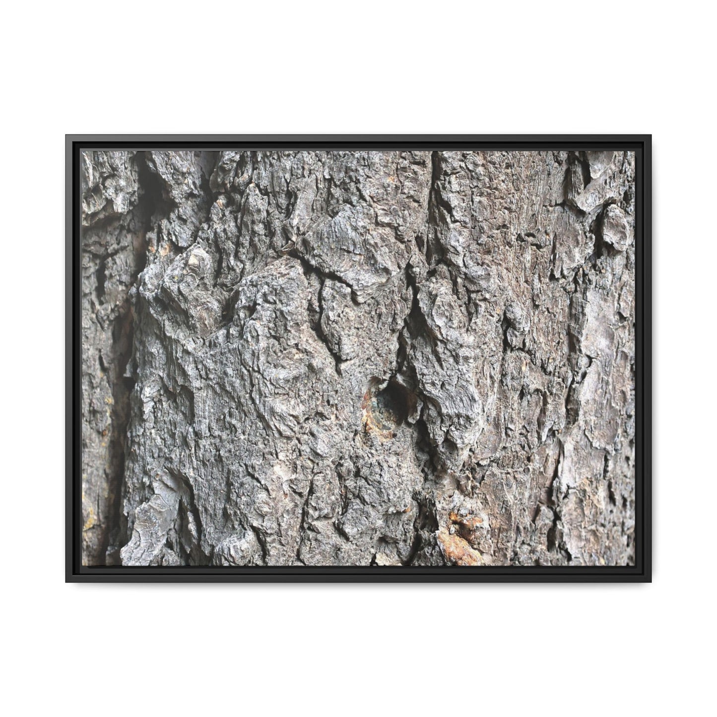 Crusty Exterior - Unique Stretched Canvas Wall Art - Art By Earth
