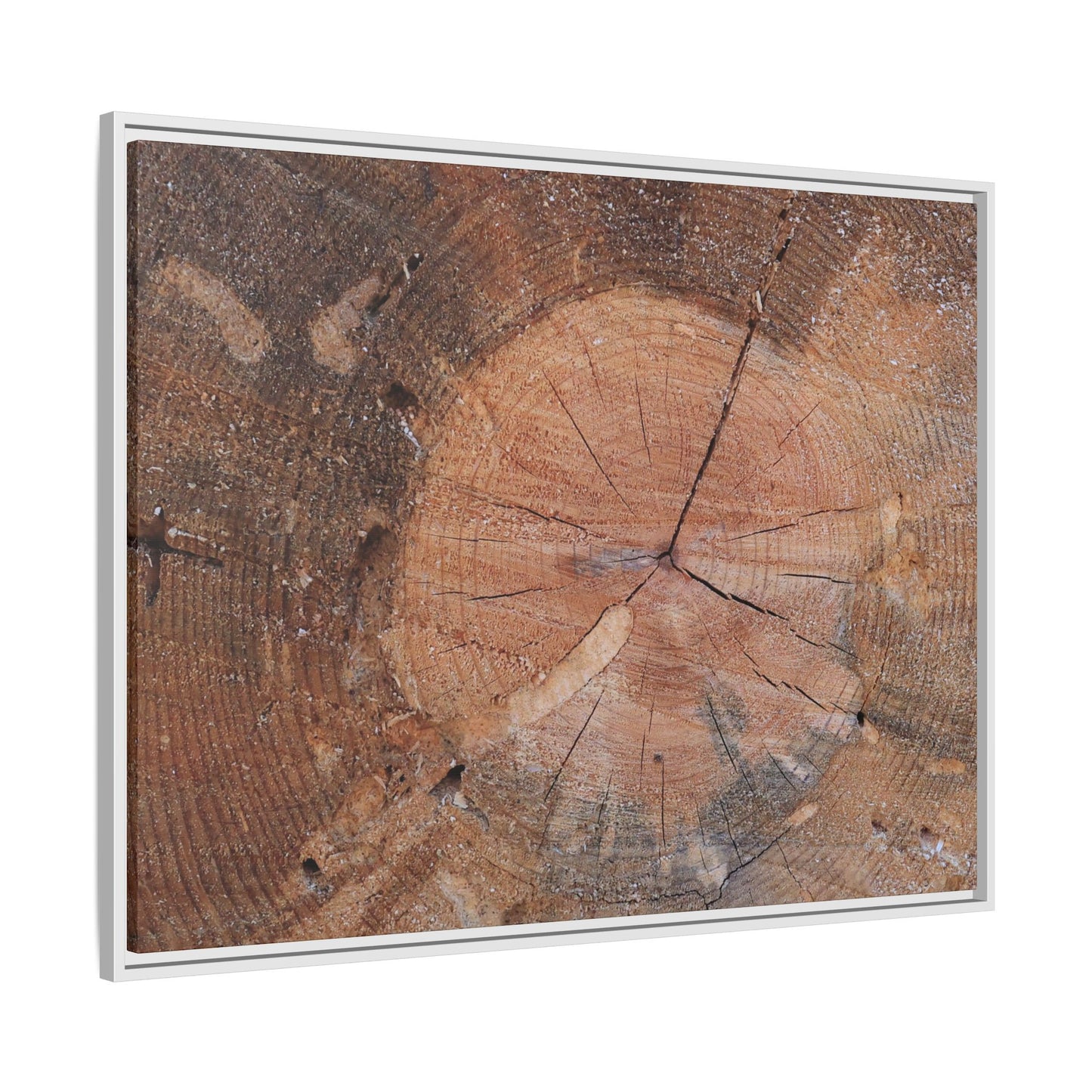 Concentric Memories - Unique Stretched Canvas Wall Art - Art By Earth