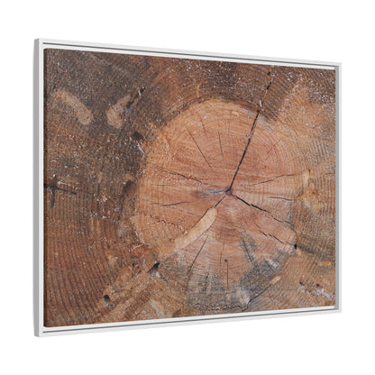 Concentric Memories - Unique Stretched Canvas Wall Art - Art By Earth