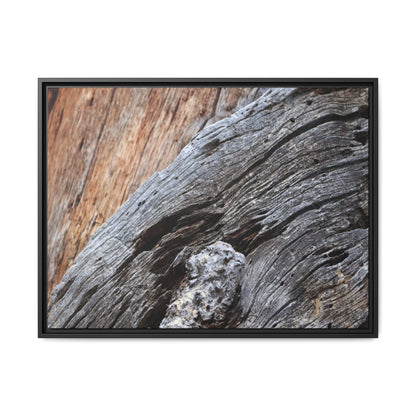 Time's Mark on Timber - Unique Stretched Canvas Wall Art - Art By Earth