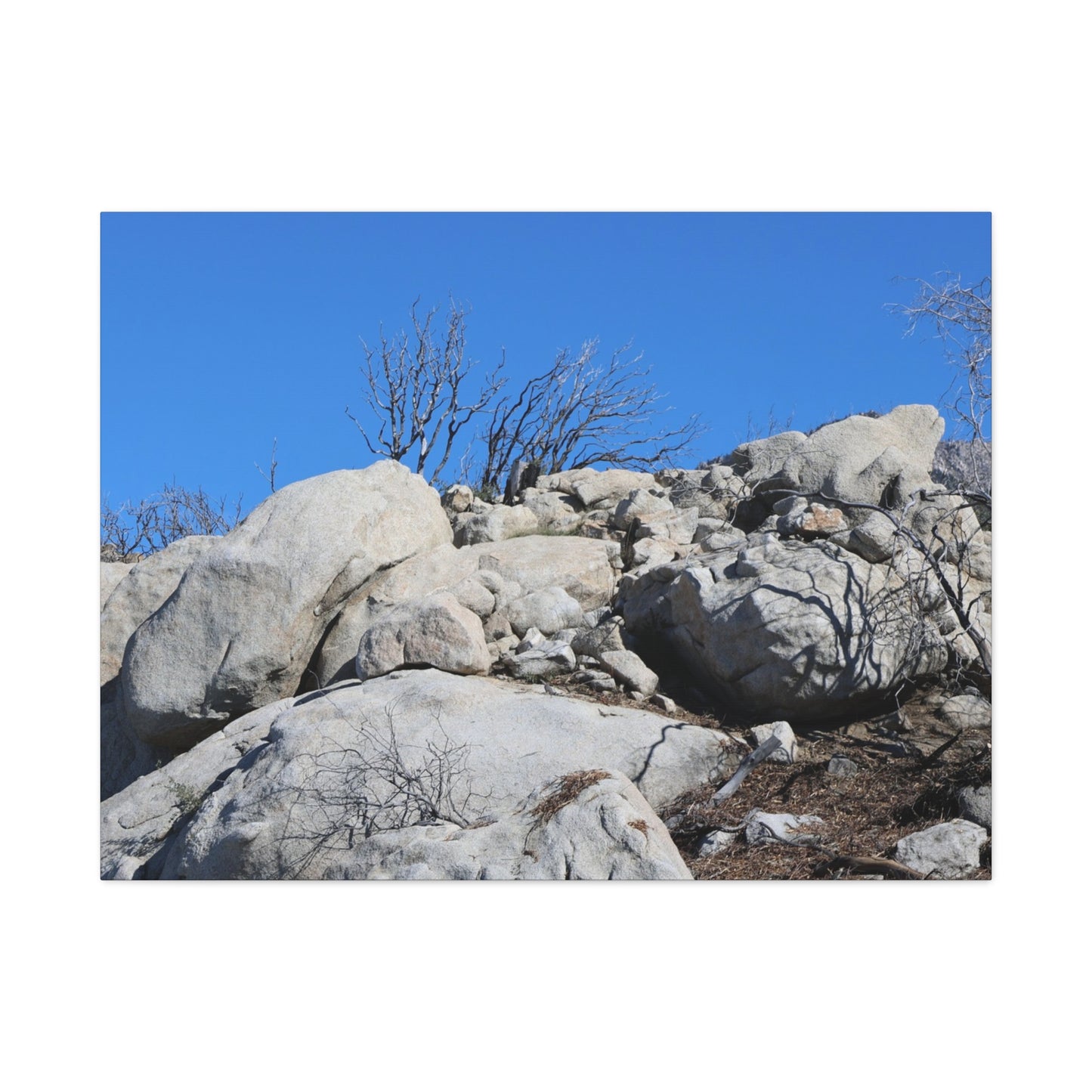 Desert Rocks Under Blue Sky - Unique Frameless Canvas Wall Art - Art By Earth
