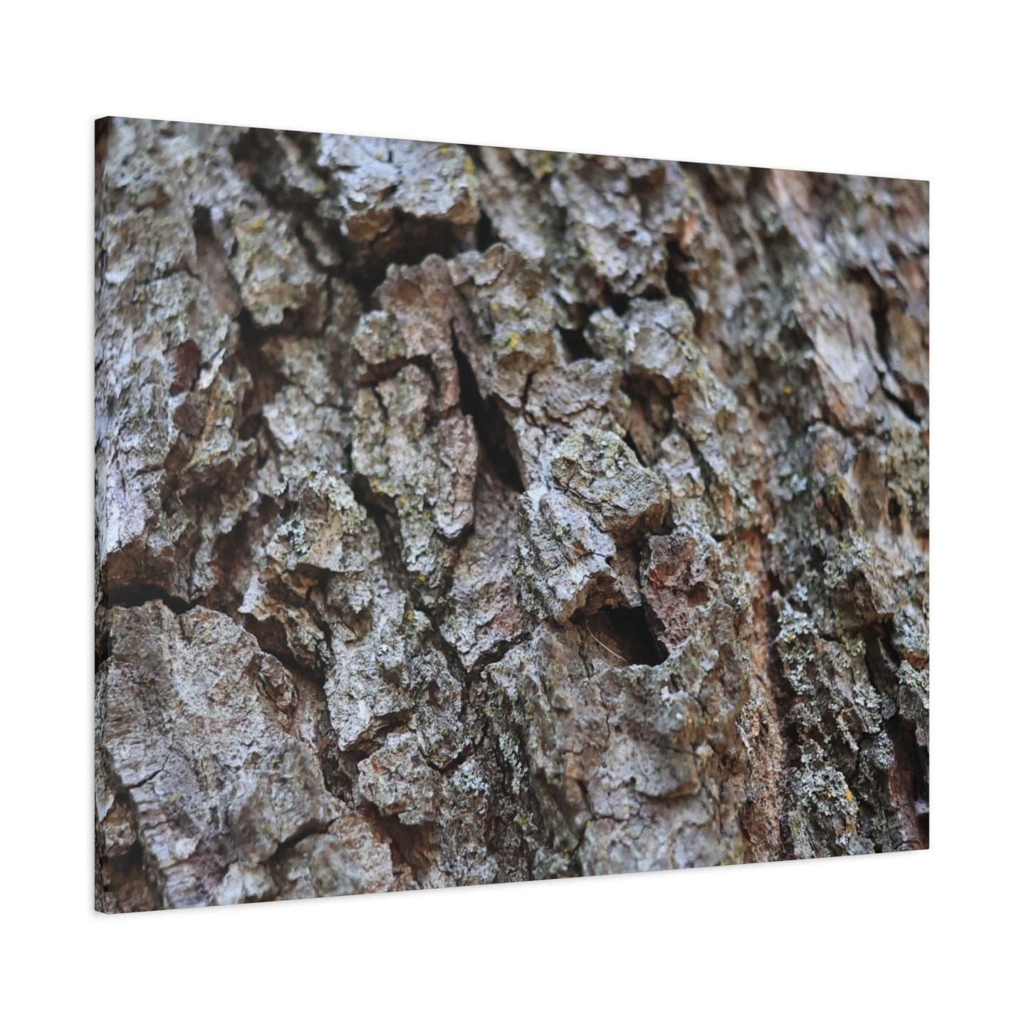 Cracked Echoes - Unique Frameless Canvas Wall Art - Art By Earth