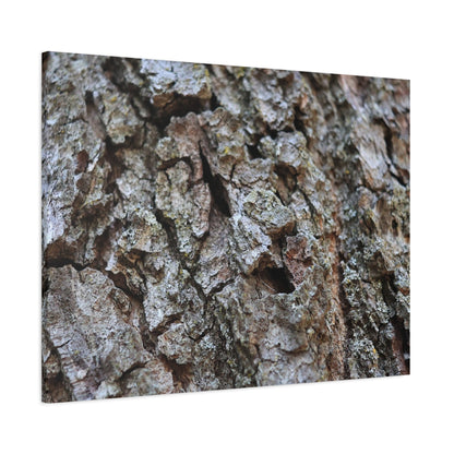 Cracked Echoes - Unique Frameless Canvas Wall Art - Art By Earth