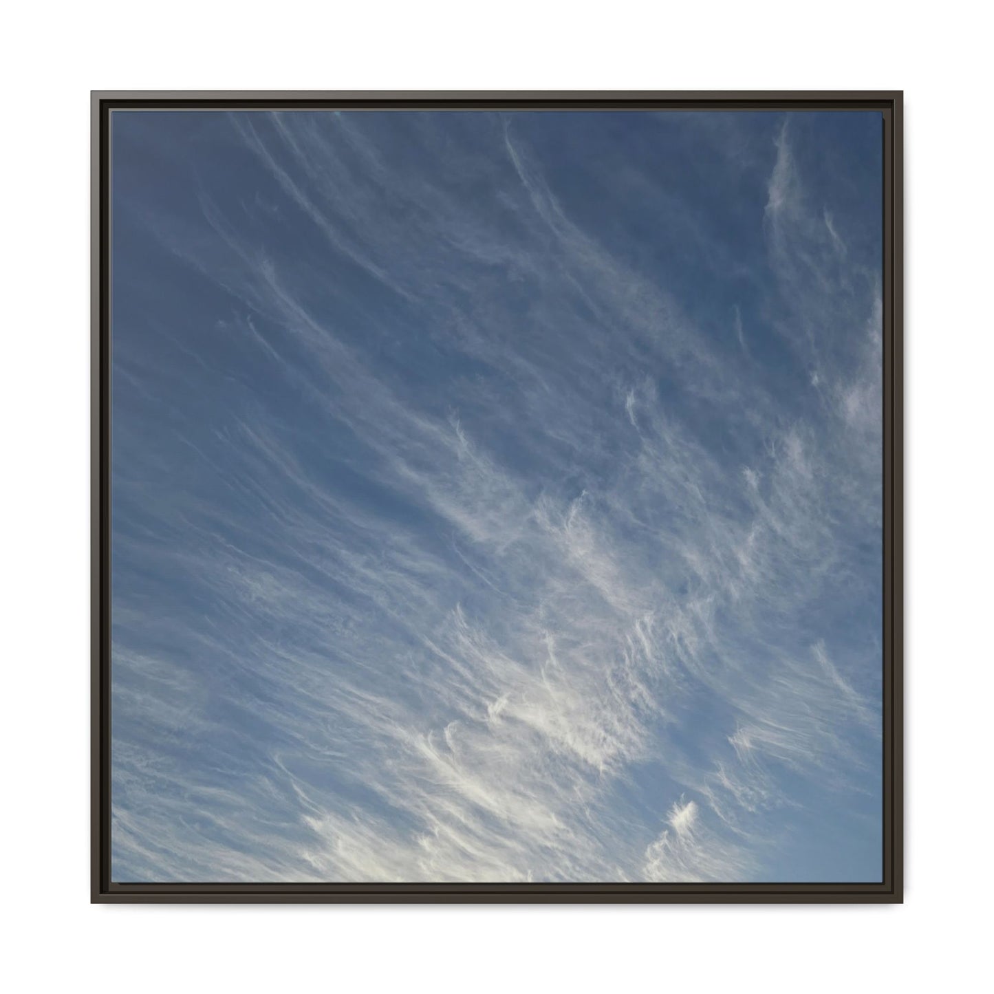 Whispers of Wind - Unique Stretched Canvas Wall Art - Art By Earth
