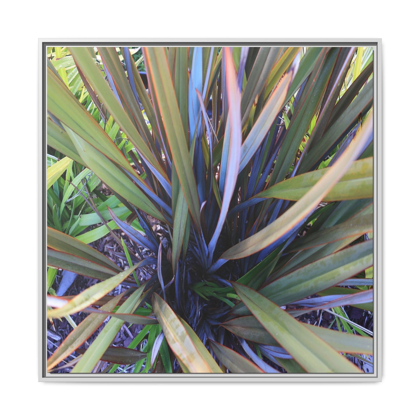 Radiant Leaves - Unique Stretched Canvas Wall Art - Art By Earth